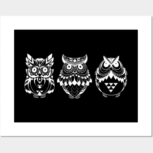 Owl - Decorative Owls Posters and Art